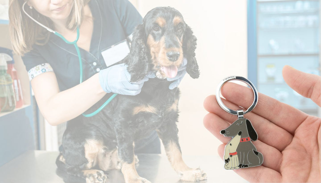 Find high quality gifts to promote your pet care business and reward employees and clientseward